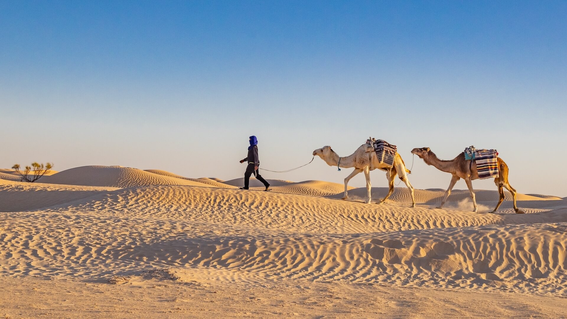 Sahara Discovery: 3-Day Desert Tour
