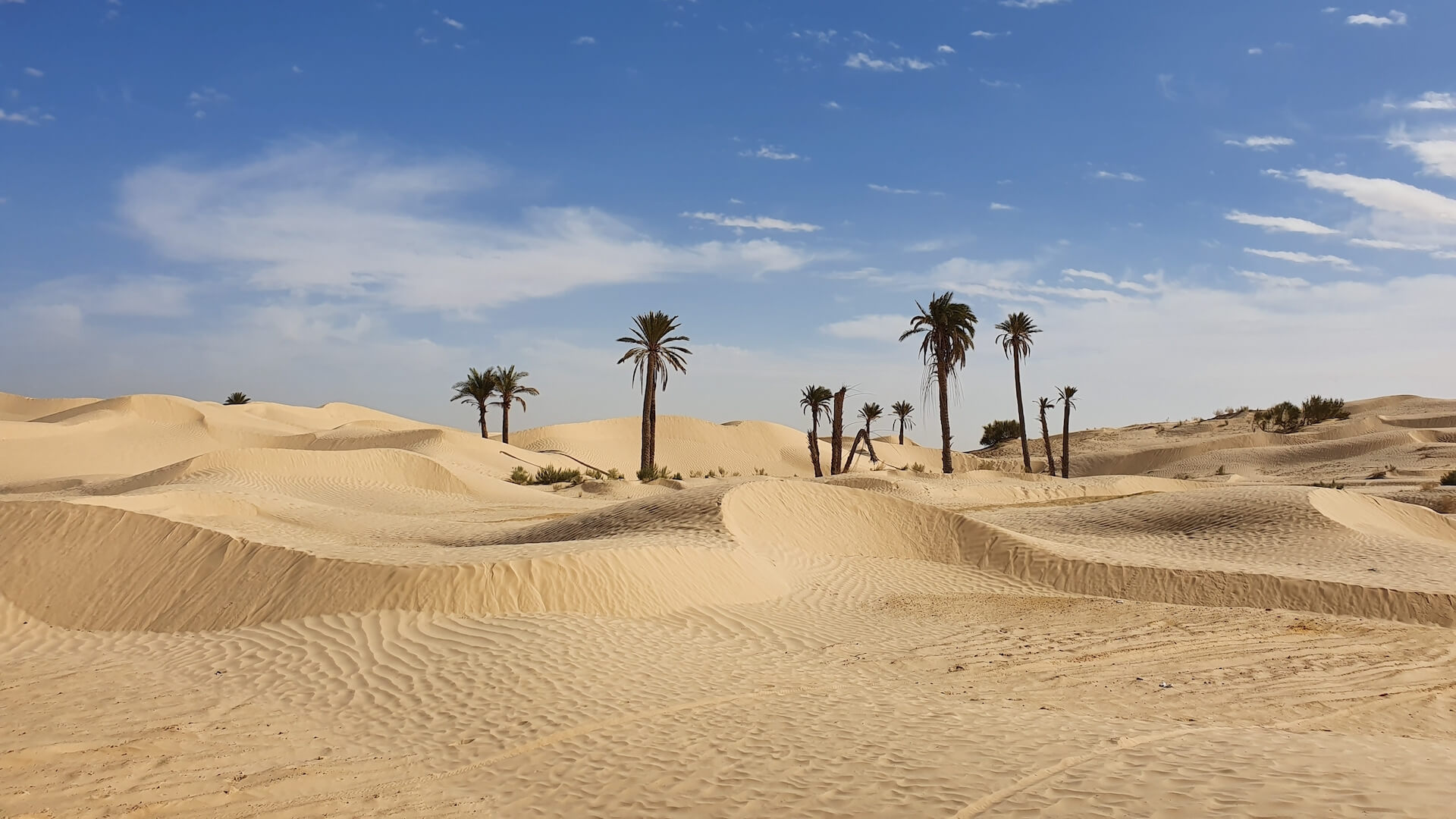Essential Tips When Preparing for Tunisia's Sahara Desert